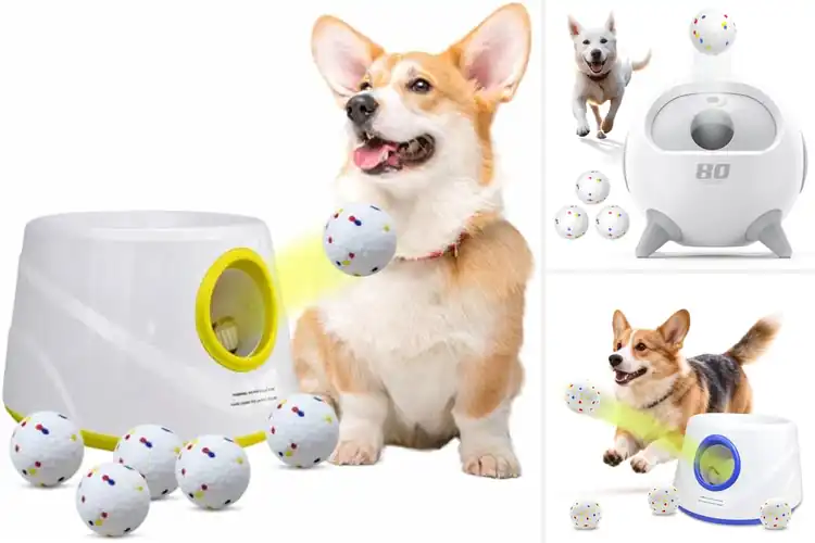 Detailed view of Best Automatic Ball Launchers