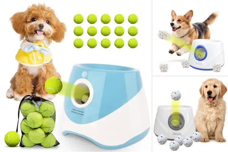 Detailed view of Best Automatic Dog Ball Launchers