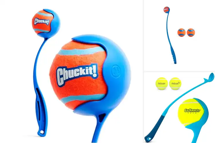 Detailed view of Best Ball Launchers for Endless Fetch Fun