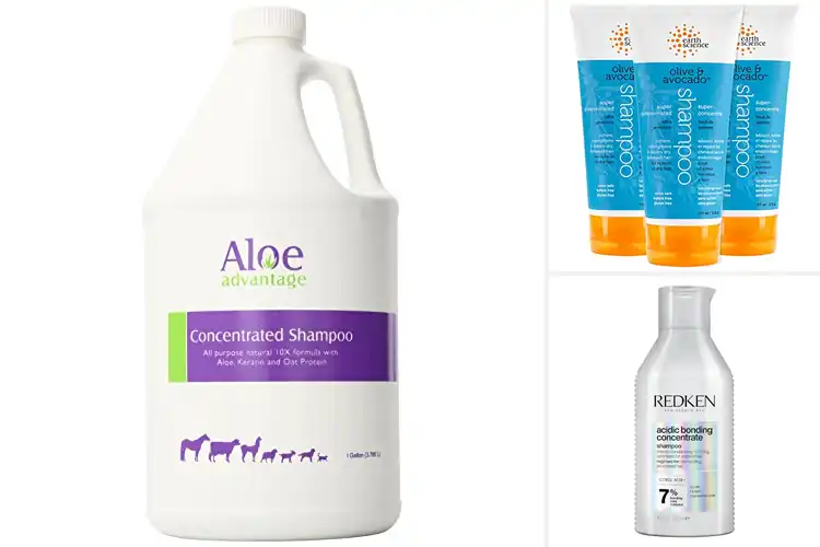 Detailed view of Best Concentrated Shampoos