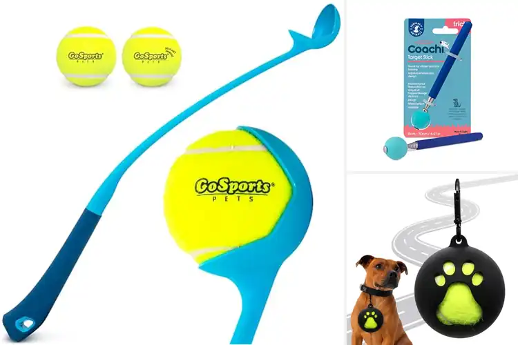 Detailed view of Best Dog Ball Accessories