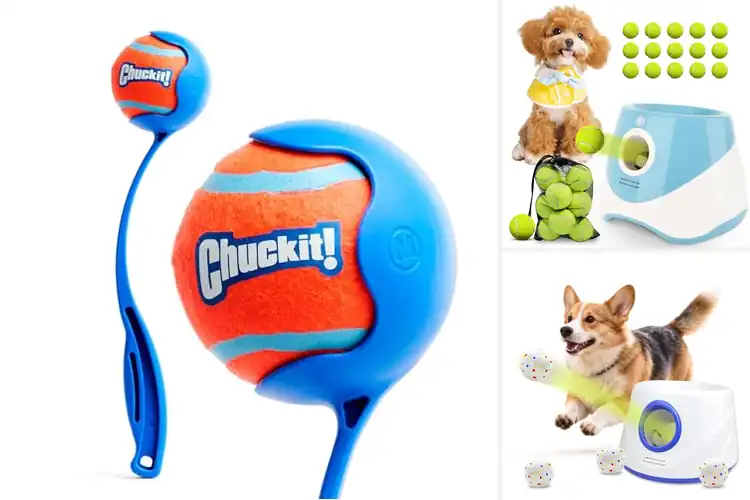 Detailed view of Best Dog Ball Launchers