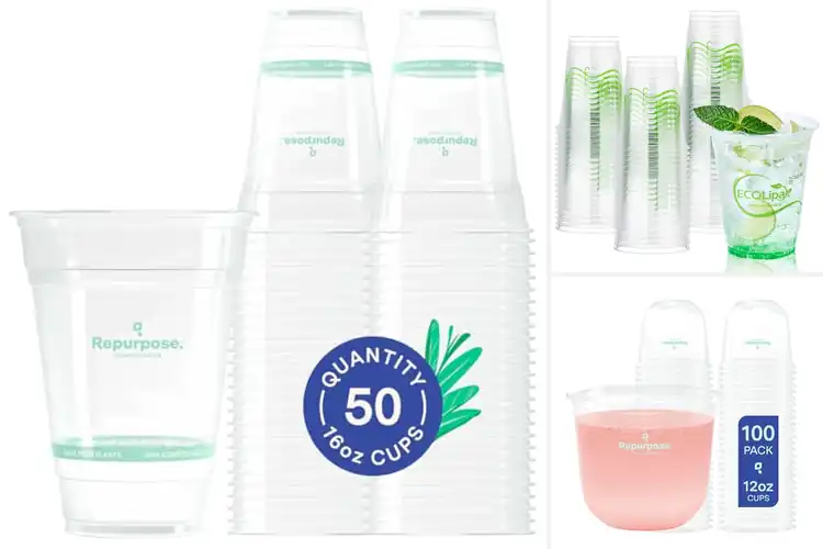 Detailed view of Best Eco Friendly Cups