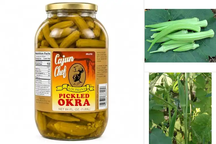 Detailed view of Best Okra Deals: Top Picks for Tangy Treats & Heirloom Seeds