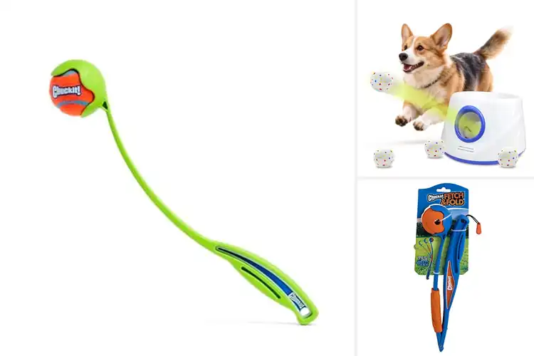 Detailed view of Best Small Dog Ball Launchers: Top Picks for Fun Fetch Play