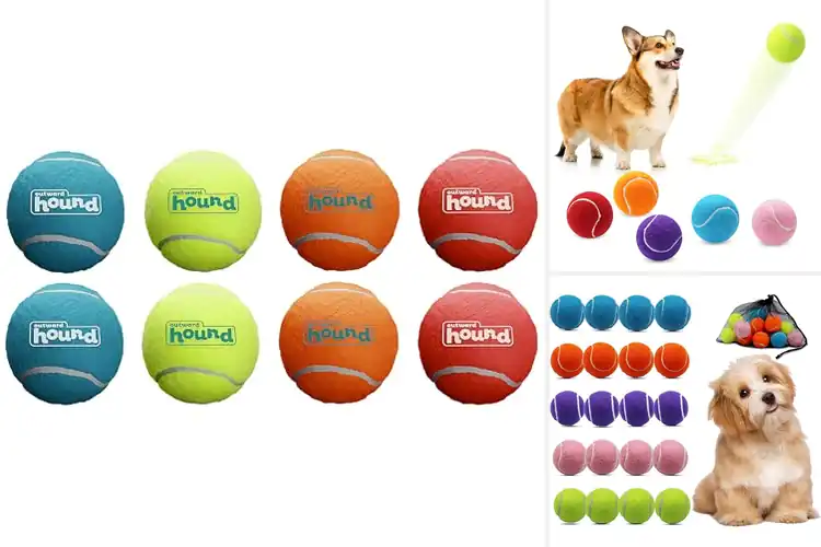 Detailed view of Best Small Dog Balls